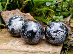 Polished Gabbro Merlinite Spheres x 3 From Ambatofinandrahana, Madagascar - Toprock Gemstones and Minerals 