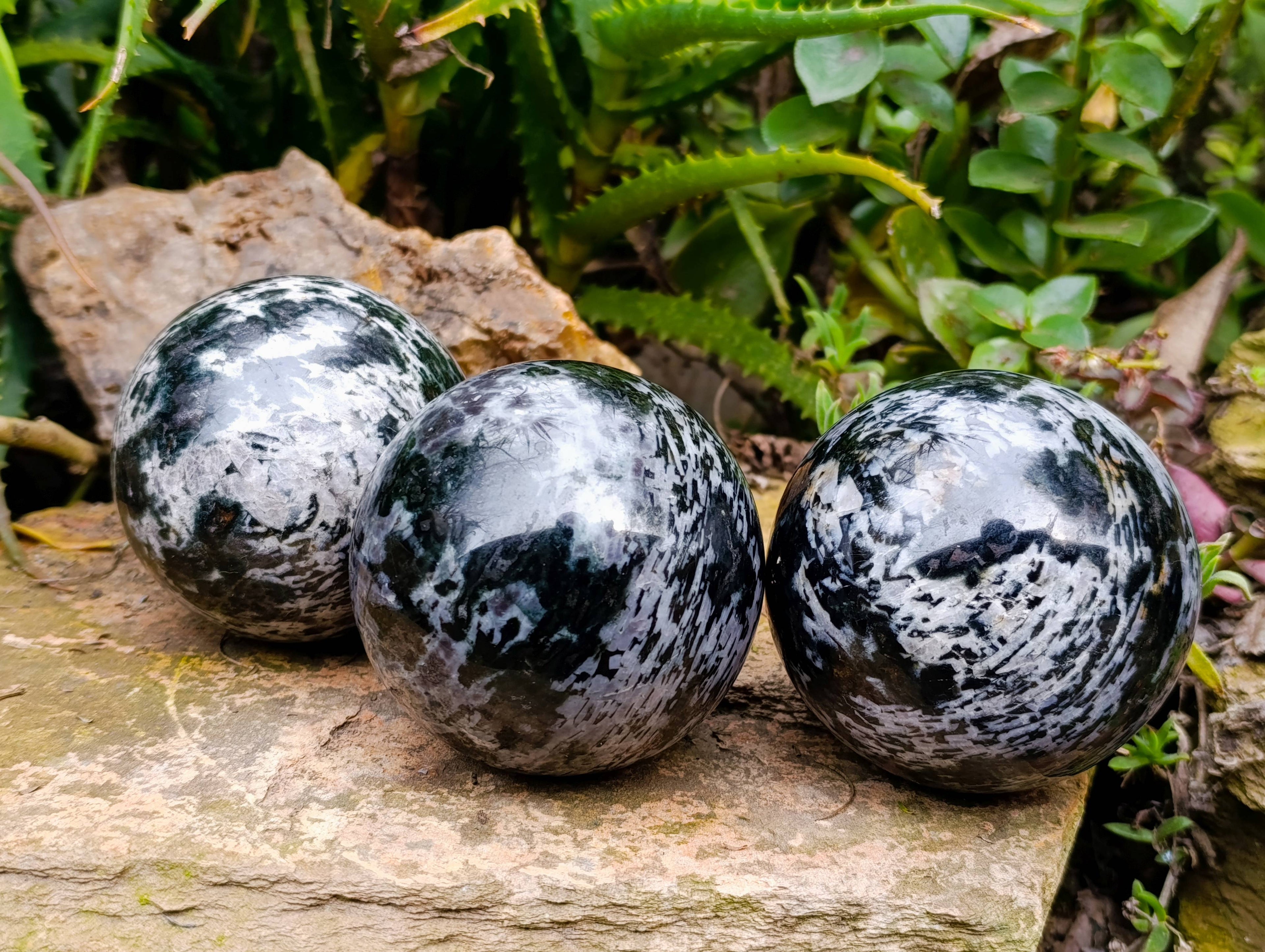 Polished Gabbro Merlinite Spheres x 3 From Ambatofinandrahana, Madagascar - Toprock Gemstones and Minerals 