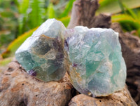 Natural Watermelon Fluorite Cobbed Specimens x 16 From Uis, Namibia
