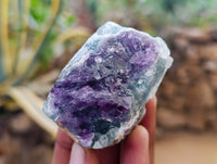 Natural Watermelon Fluorite Cobbed Specimens x 16 From Uis, Namibia