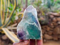 Natural Watermelon Fluorite Cobbed Specimens x 16 From Uis, Namibia