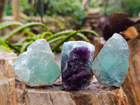 Natural Watermelon Fluorite Cobbed Specimens x 16 From Uis, Namibia