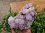 Natural Amethyst Spirit Quartz Cluster x 1 From Boekenhouthoek, South Africa - Toprock Gemstones and Minerals 
