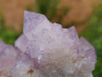 Natural Amethyst Spirit Quartz Cluster x 1 From Boekenhouthoek, South Africa - Toprock Gemstones and Minerals 