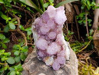Natural Amethyst Spirit Quartz Cluster x 1 From Boekenhouthoek, South Africa