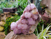 Natural Amethyst Spirit Quartz Cluster x 1 From Boekenhouthoek, South Africa