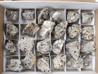 Natural Red Pyrope Garnet Crystals in Quartz Feldspar Matrix x 24 From Namibia