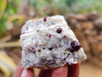Natural Red Pyrope Garnet Crystals in Quartz Feldspar Matrix x 24 From Namibia