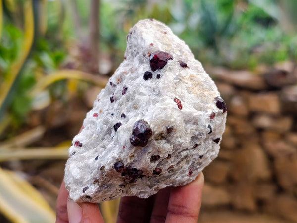 Natural Red Pyrope Garnet Crystals in Quartz Feldspar Matrix x 24 From Namibia
