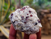 Natural Red Pyrope Garnet Crystals in Quartz Feldspar Matrix x 24 From Namibia