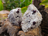 Natural Red Pyrope Garnet Crystals in Quartz Feldspar Matrix x 24 From Namibia