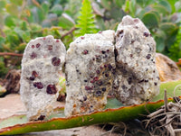 Natural Red Pyrope Garnet Crystals in Quartz Feldspar Matrix x 24 From Namibia