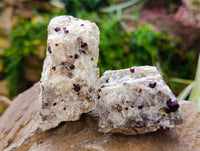 Natural Red Pyrope Garnet Crystals in Quartz Feldspar Matrix x 24 From Namibia