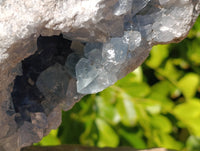Natura Celestite Geode Specimen x 1 From Sakoany, Madagascar - Toprock Gemstones and Minerals 