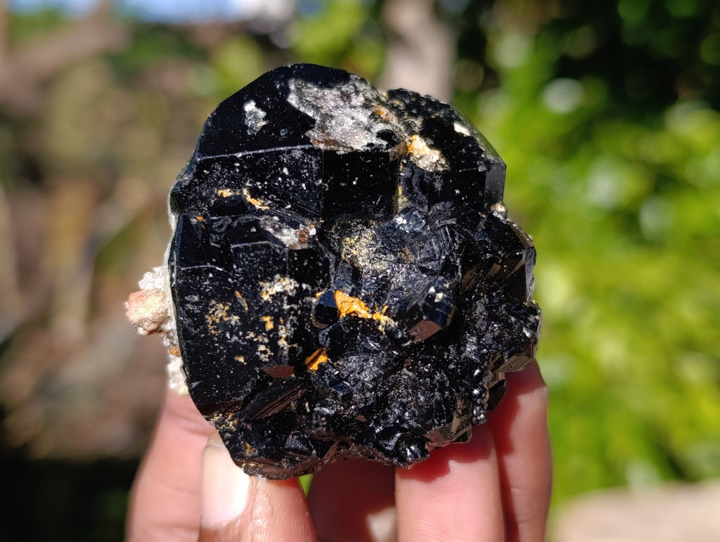 Natural Schorl Black Tourmaline Specimens x 12 From Namibia - Toprock Gemstones and Minerals 