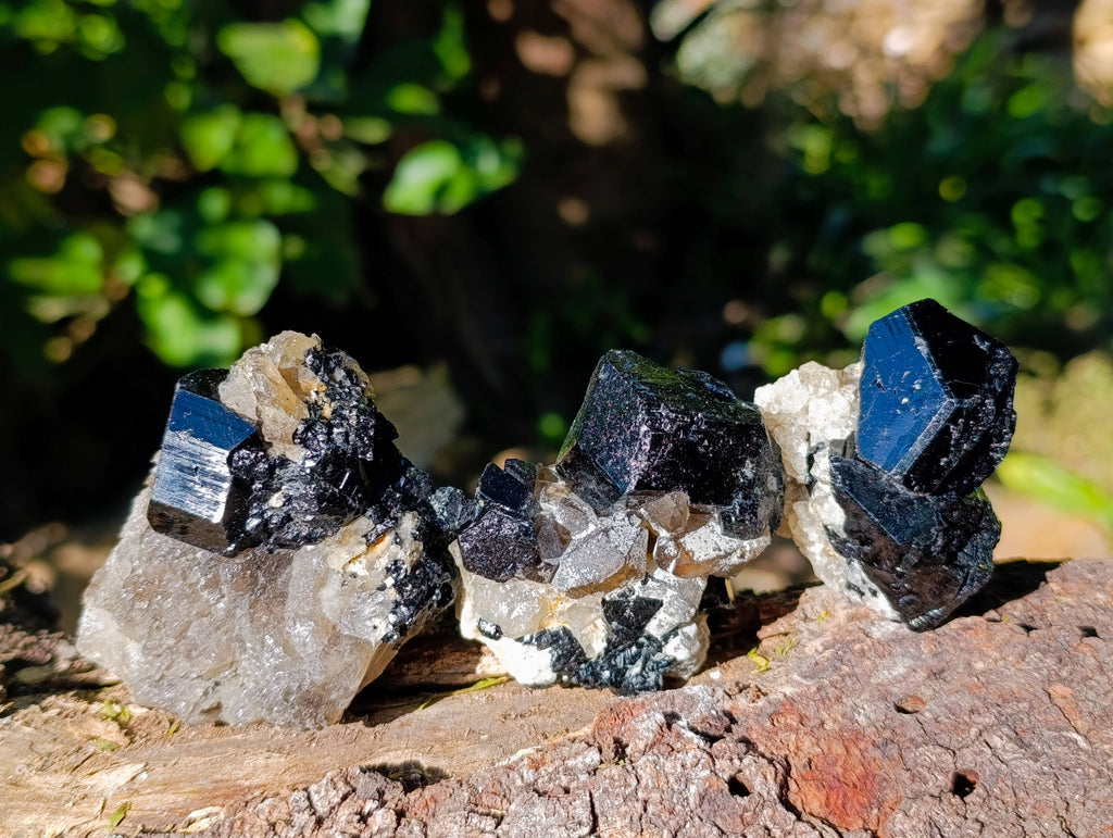 Natural Schorl Black Tourmaline Specimens x 12 From Namibia - Toprock Gemstones and Minerals 