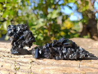 Natural Schorl Black Tourmaline Specimens x 12 From Namibia