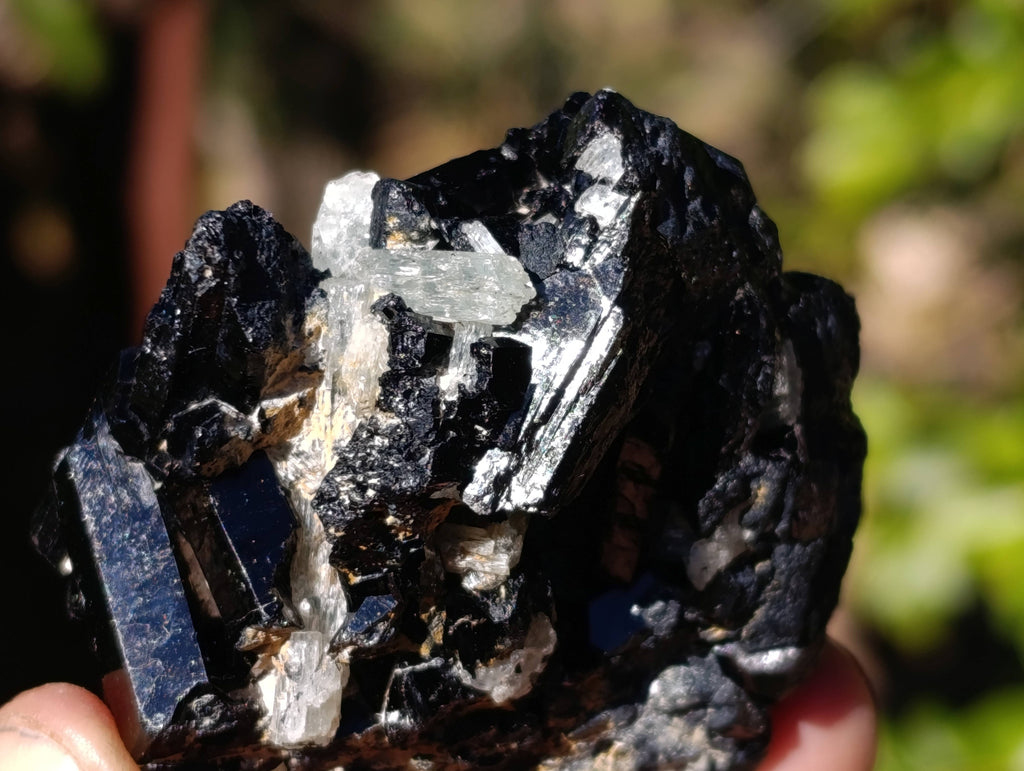 Natural Schorl Black Tourmaline Specimens x 12 From Namibia - Toprock Gemstones and Minerals 