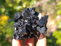 Natural Schorl Black Tourmaline Specimens x 12 From Namibia