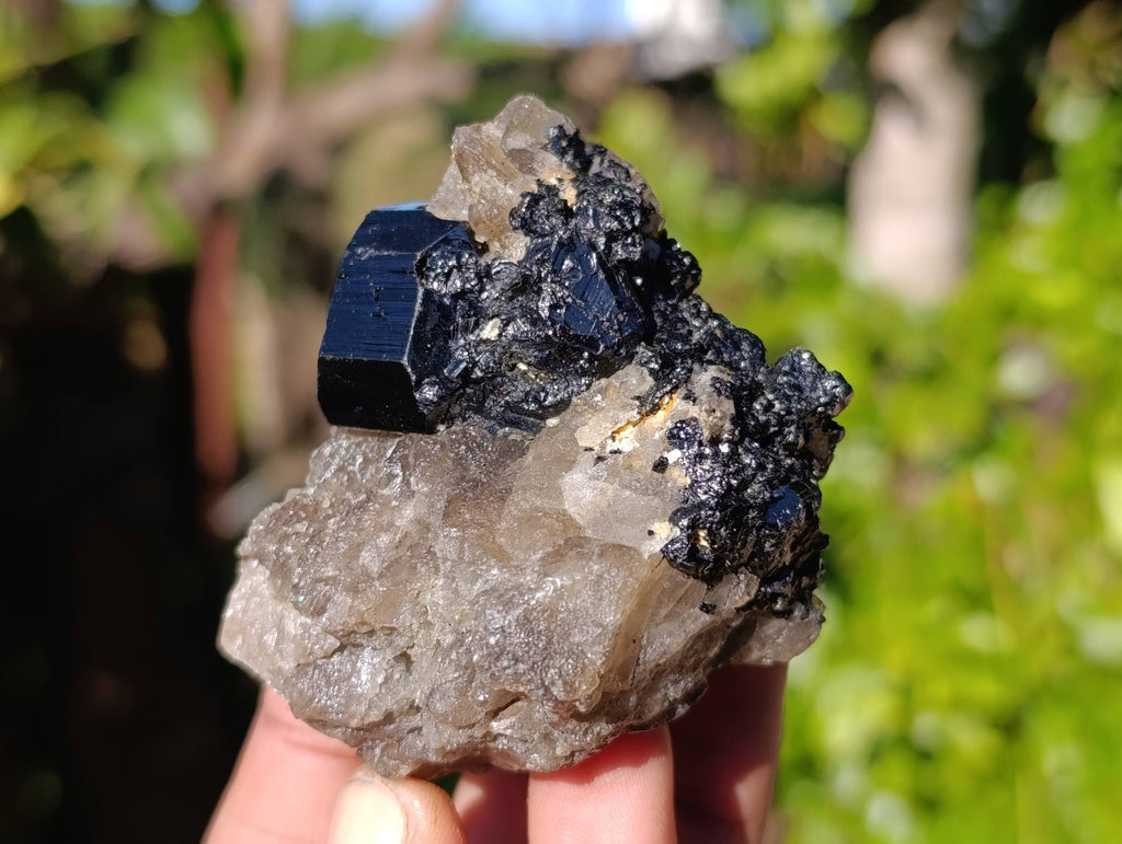Natural Schorl Black Tourmaline Specimens x 12 From Namibia - Toprock Gemstones and Minerals 