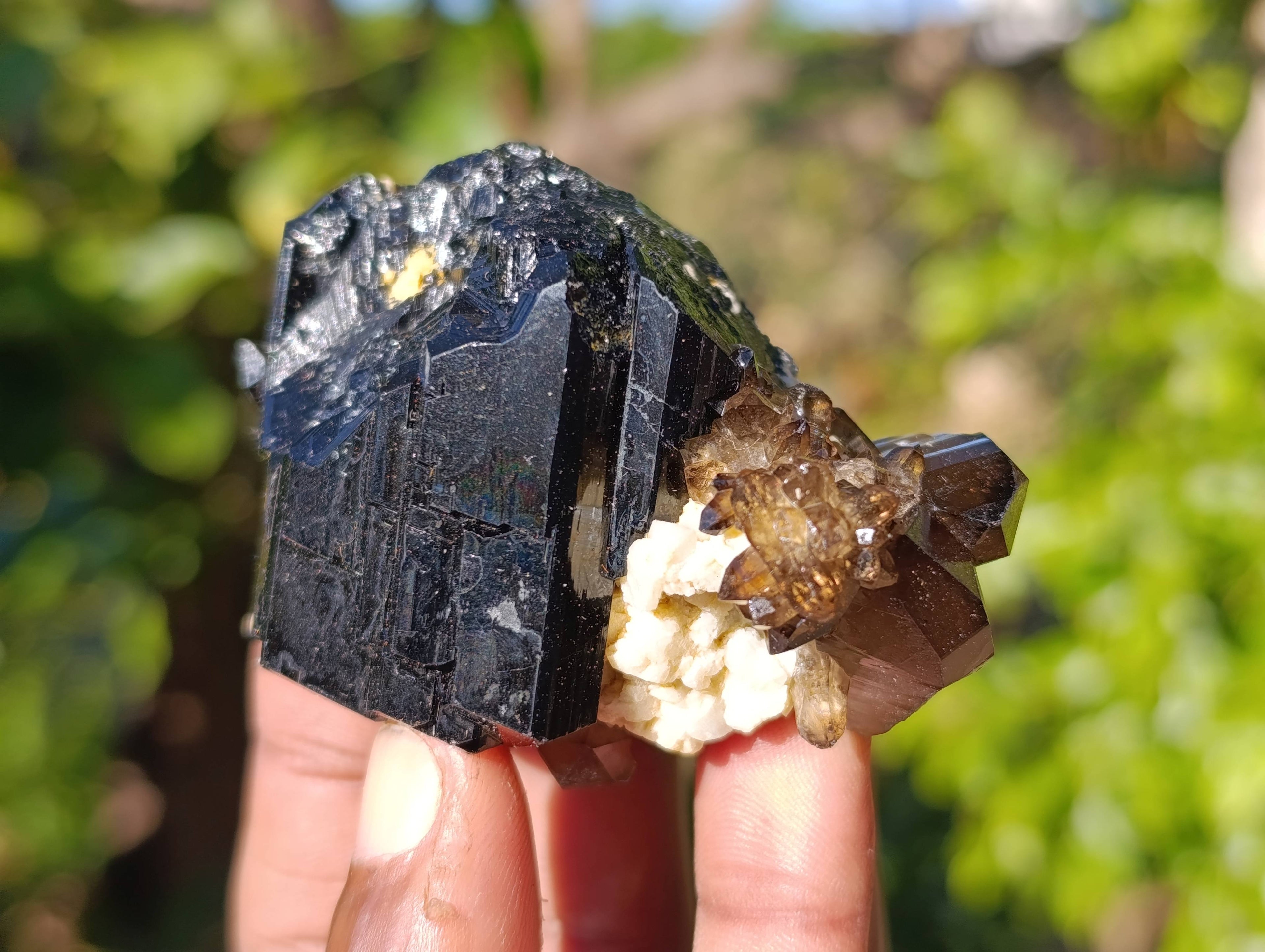 Natural Schorl Black Tourmaline Specimens x 12 From Namibia - Toprock Gemstones and Minerals 