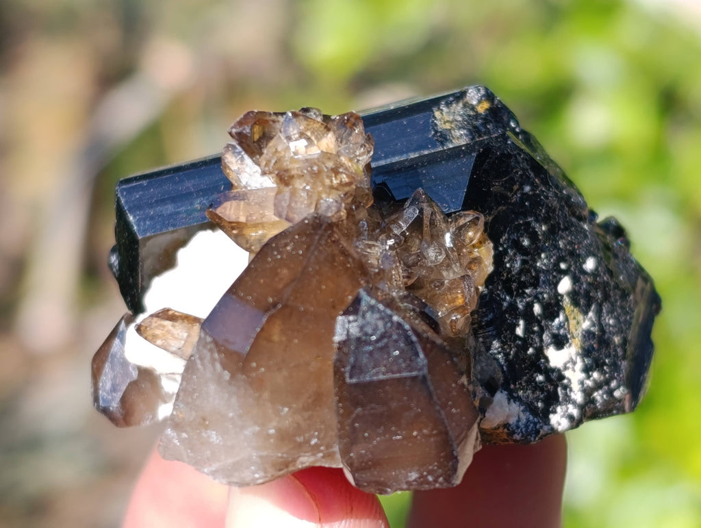 Natural Schorl Black Tourmaline Specimens x 12 From Namibia - Toprock Gemstones and Minerals 