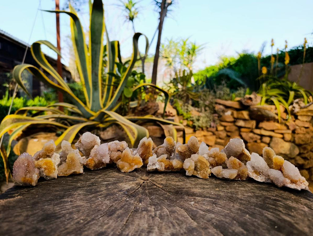 Natural Spirit Quartz Specimens x 20 From Boekenhouthoek, South Africa - Toprock Gemstones and Minerals 