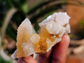 Natural Spirit Quartz Specimens x 20 From Boekenhouthoek, South Africa - Toprock Gemstones and Minerals 