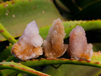 Natural Spirit Quartz Specimens x 20 From Boekenhouthoek, South Africa - Toprock Gemstones and Minerals 