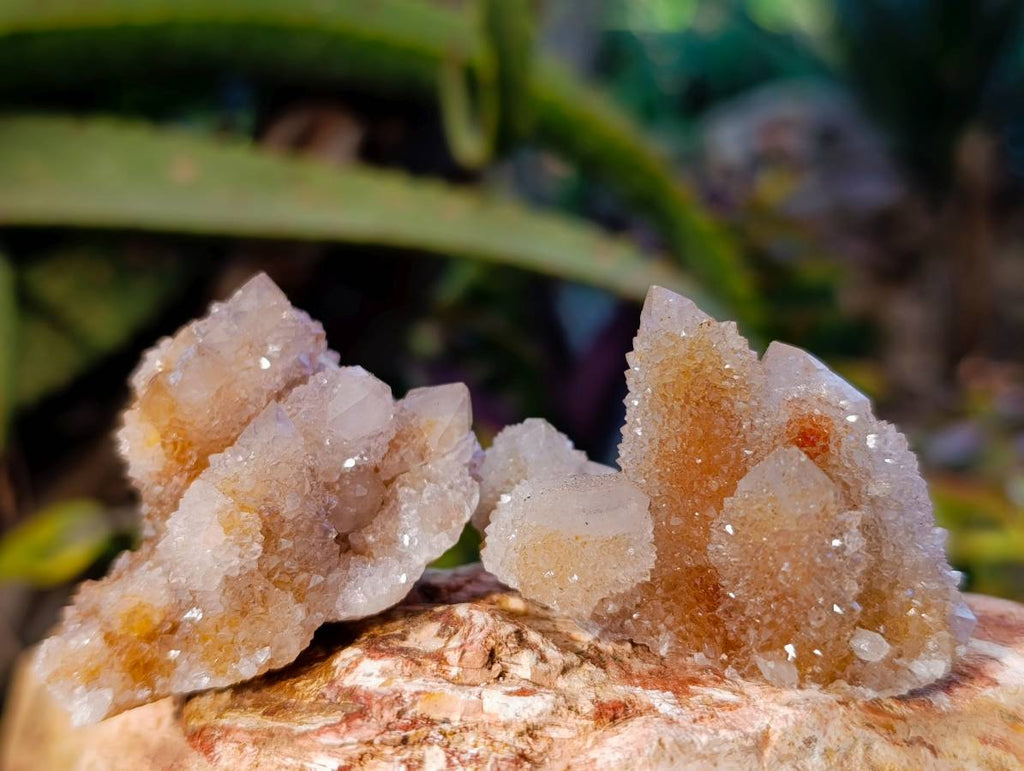 Natural Spirit Quartz Specimens x 20 From Boekenhouthoek, South Africa - Toprock Gemstones and Minerals 
