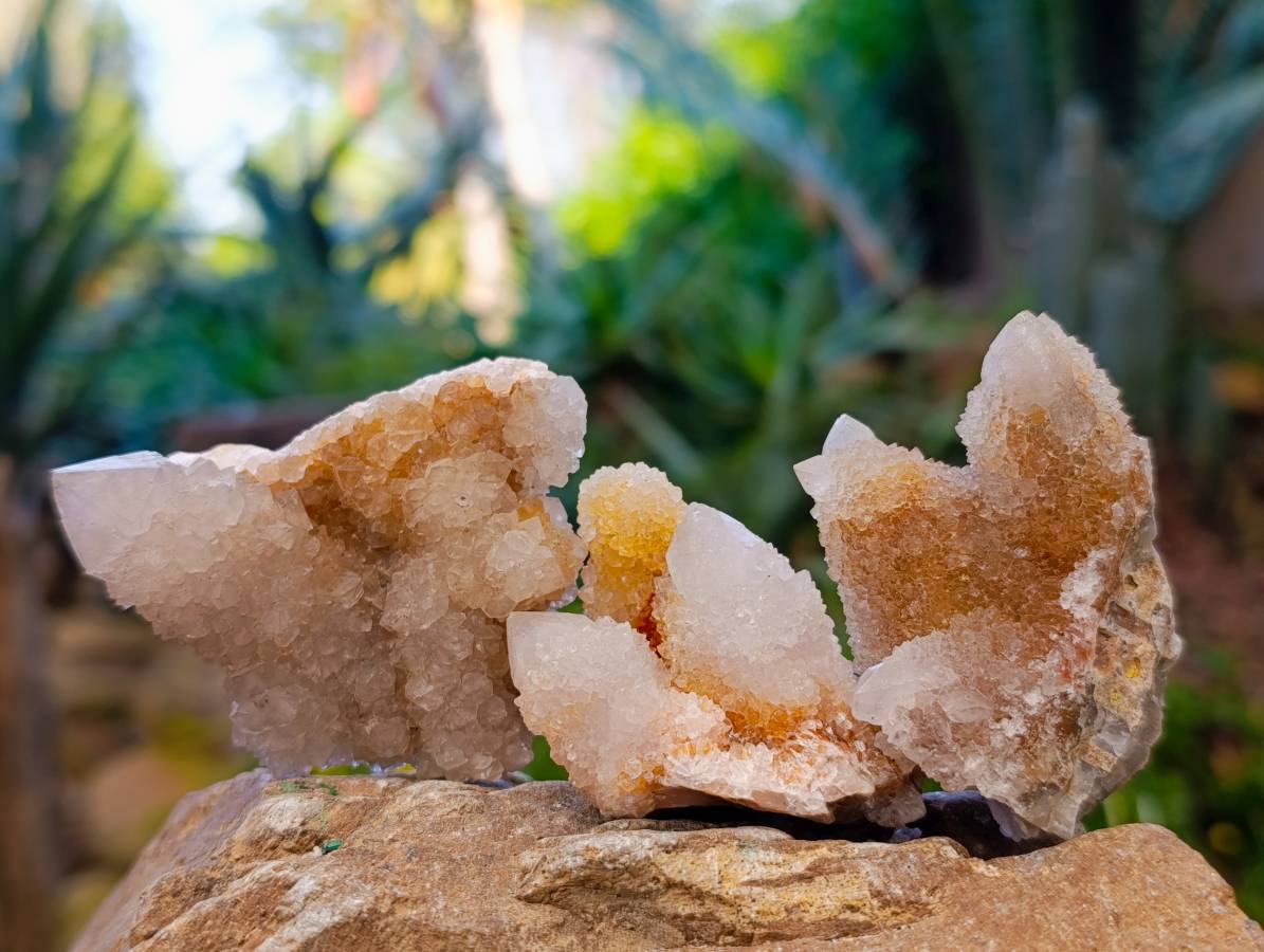 Natural Spirit Quartz Specimens x 20 From Boekenhouthoek, South Africa - Toprock Gemstones and Minerals 