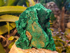 Natural Silky Malachite Specimens x 2 From Kasompe, Congo - Toprock Gemstones and Minerals 