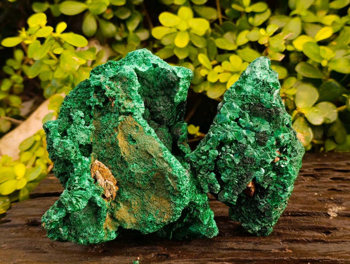 Natural Silky Malachite Specimens x 2 From Kasompe, Congo - Toprock Gemstones and Minerals 