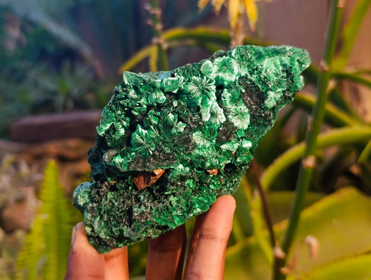 Natural Silky Malachite Specimens x 2 From Kasompe, Congo - Toprock Gemstones and Minerals 