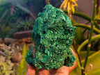 Natural Silky Malachite Specimens x 2 From Kasompe, Congo - Toprock Gemstones and Minerals 
