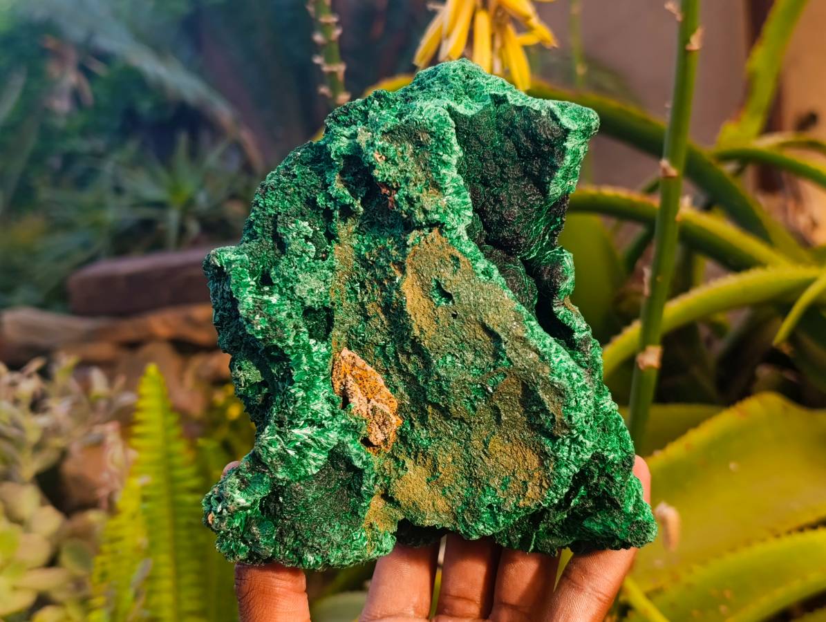 Natural Silky Malachite Specimens x 2 From Kasompe, Congo - Toprock Gemstones and Minerals 