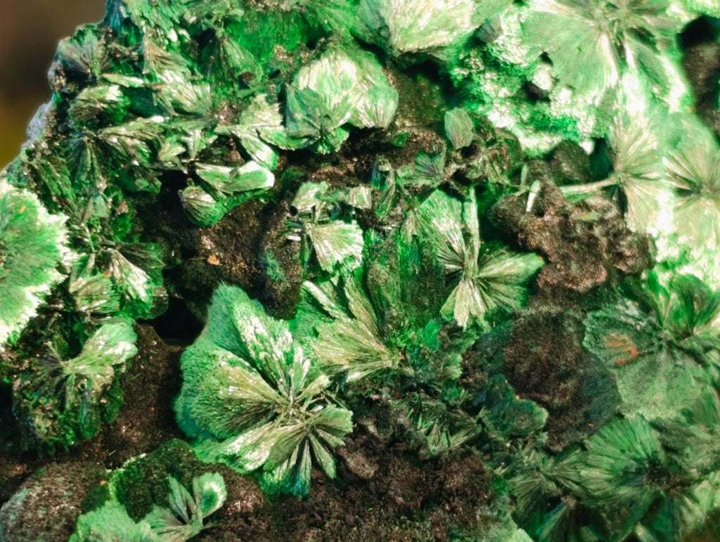 Natural Silky Malachite Specimens x 2 From Kasompe, Congo - Toprock Gemstones and Minerals 