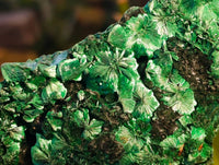 Natural Silky Malachite Specimens x 2 From Kasompe, Congo - Toprock Gemstones and Minerals 