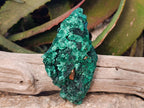 Natural Silky Malachite Specimens x 2 From Kasompe, Congo - Toprock Gemstones and Minerals 