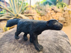 Hand Made Black Serpentine Honey Badger Carving x 1 From Zimbabwe - Toprock Gemstones and Minerals 