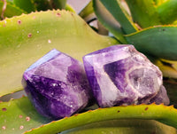 Polished Chevron Amethyst Witches Hat Crystals x 4 From Zambia