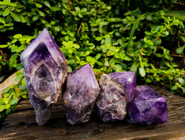 Polished Chevron Amethyst Witches Hat Crystals x 4 From Zambia