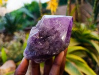 Polished Chevron Amethyst Witches Hat Crystals x 4 From Zambia