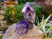 Polished Chevron Amethyst Witches Hat Crystals x 4 From Zambia