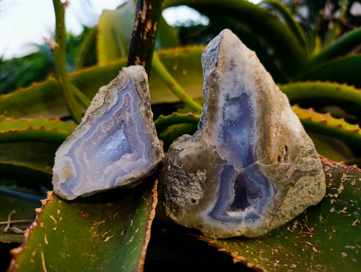 Polished Blue Lace Agate Geodes x 12 From Nsanje, Malawi - Toprock Gemstones and Minerals 