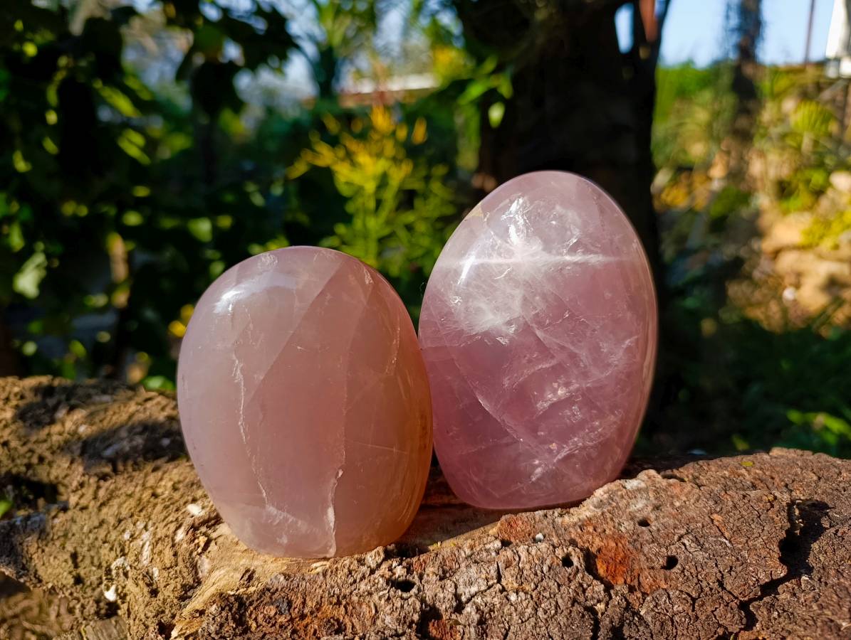 Polished Lavender Rose Quartz Standing Free Forms x 2 From Madagascar - Toprock Gemstones and Minerals 