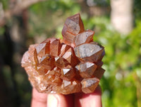 Natural Assortment Of Brandberg Quartz Formations x 12 From Namibia