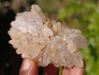 Natural Assortment Of Brandberg Quartz Formations x 12 From Namibia