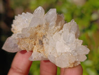 Natural Assortment Of Brandberg Quartz Formations x 12 From Namibia