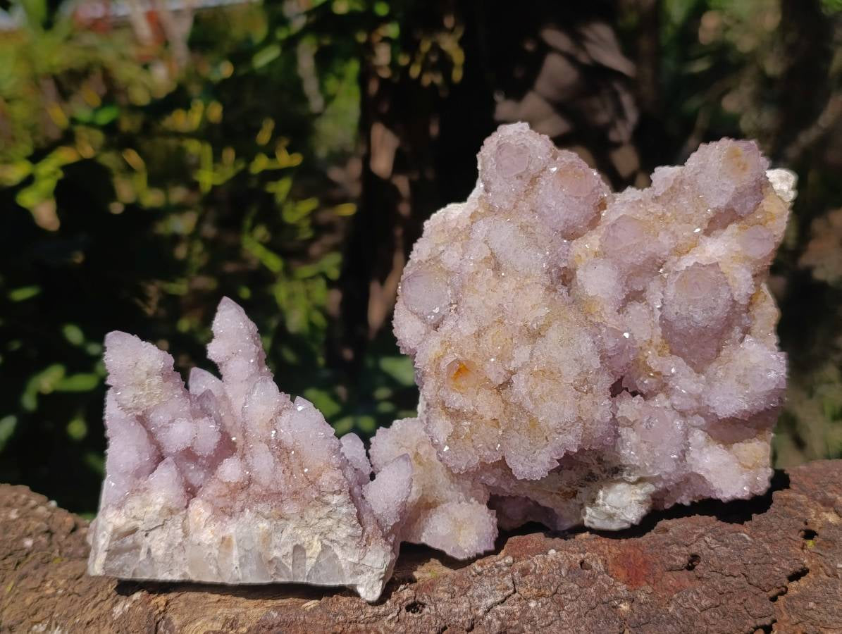 Natural Amethyst Spirit Quartz Clusters x 2 From Boekenhouthoek, South Africa - Toprock Gemstones and Minerals 